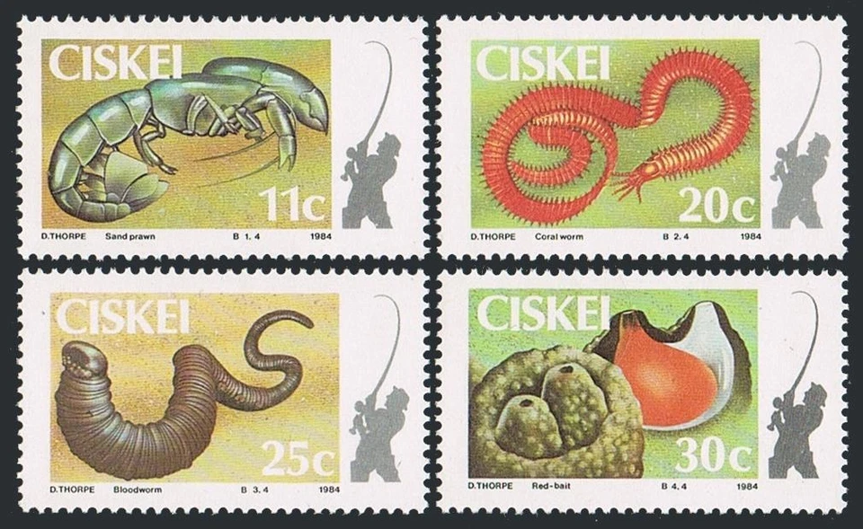 SA-Ciskei 65-68,MNH. Coastal angling,1984. Sand prawn,Coral worm,Bloodworm,Bait. - Image 1 of 1
