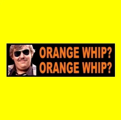 Funny "ORANGE WHIP? ORANGE WHIP?" The Blues Brothers BUMPER STICKER Jake Elwood