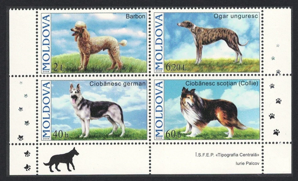 Moldova Dogs 4v bloque de 4 márgenes inferiores 2006 MNH SG#557-560 Foto 1 de 1
