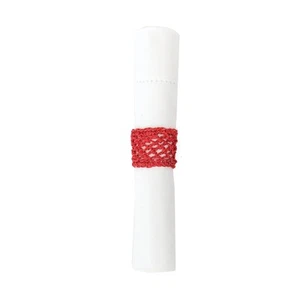 Juego de 6 servilletas de coral con encaje - Imagen 1 de 1