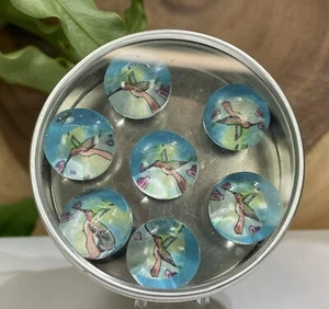 Magnet Set Of 7 In A Tin Hummingbirds - Picture 1 of 2