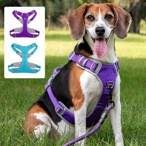 Gilet regolabile con manico e - Foto 1 di 20