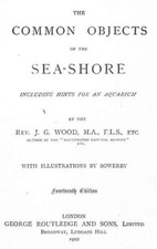 Common Objects of the Sea-Shore including hints for an aquarium, The