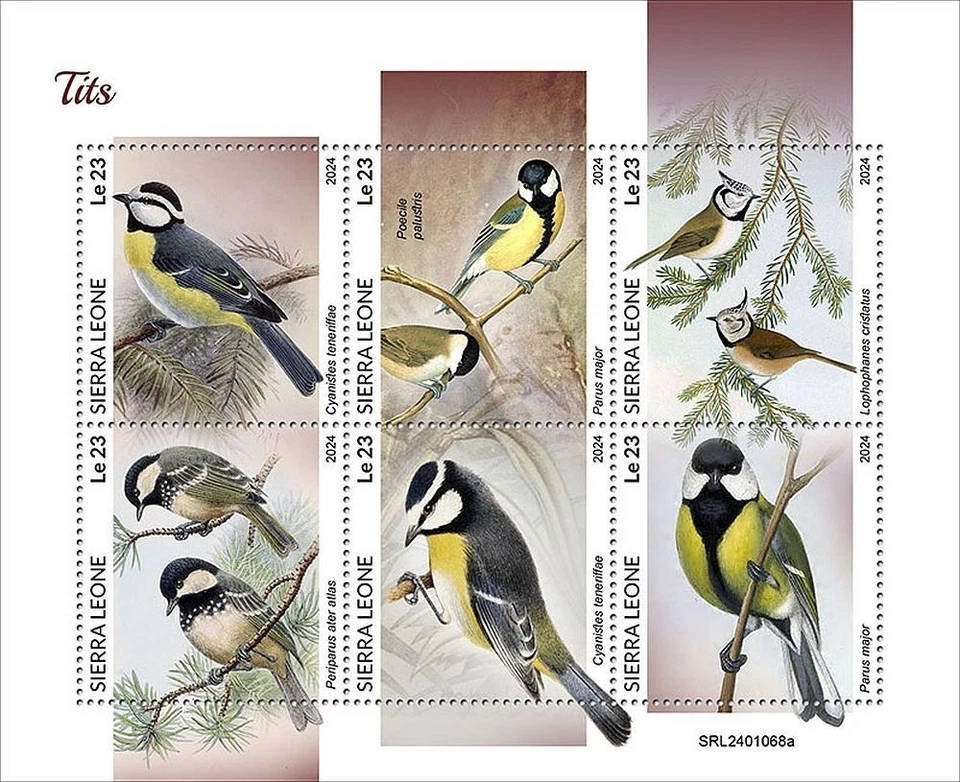 Chickadees Birds Tit Passerine Bird MNH 6v-Stamp Sheet #2424 (2024 Sierra Leone) - Image 1 of 1