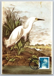 #3829 Snowy Egret PNC Coil FDC Maxi Card - Picture 1 of 2