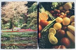 Menge (2) Vintage Ambassador & Springbock 500 Stück Puzzle Garten und Obst - Bild 1 von 2