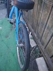 Vintage J.C. Higgins Bicycle - All Original - Picture 1 of 3