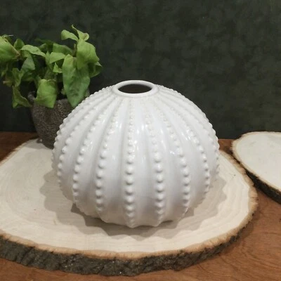 Nuevo jarrón de cerámica brillante Pier 1 erizo de mar blanco/anémona 7,25 pulgadas playa océano Foto 1 de 4