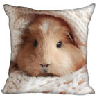 Guinea Pig Pillowcase For Living Room Sofa Home Decorative Cushion Pillow Cover