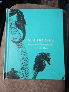 Sea Horses ~ Lilo Hess ~ Ex Library ~ 1966 ~ HC ~ Charles Scribner's Sons - Picture 1 of 4