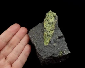 OLIVINA - FORSTERITE PERIDOT xenolite in basalto -- REP. CECO Smrčí /pj246 - Foto 1 di 15