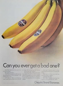 1966 Chiquita Bananas Can You Ever Get A Bad One Yellow Ripe Fruit Vtg Print Ad - Picture 1 of 1