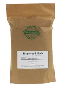 Hierba Silverweed - Potentilla Anserina L # Herba Organica # Argentina Anserina - Imagen 1 de 4