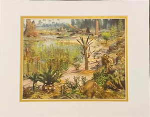 NEW MAT 11x14" MESOZOIC Prehistoric Color LANDSCAPE Scene by Burian. 1963 VF - Picture 1 of 5