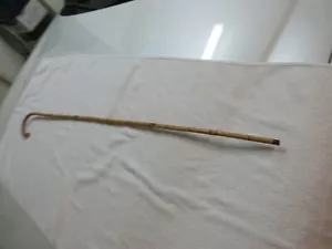 Walking Stick / Cane , Wood , Thin Bamboo , 36 1/2" , Vintage - Picture 1 of 8