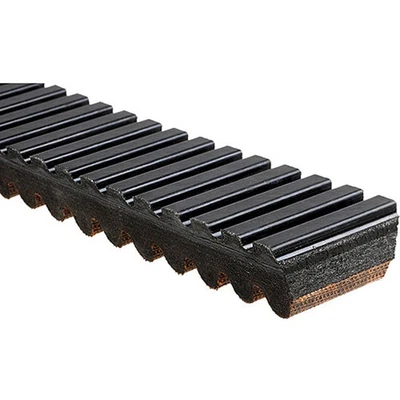 Gates Corporation 38C4494 Gates G Force Carbon Drive Belt Foto 1 de 3