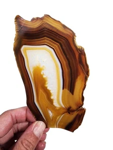 Agate Slab Mexico 50.5 grams - Picture 1 of 2