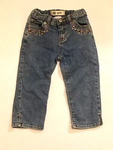GAP Girls' Vintage STRETCH Embroidered Floral Denim Capri Pants ~ Sz 5 - Picture 1 of 3