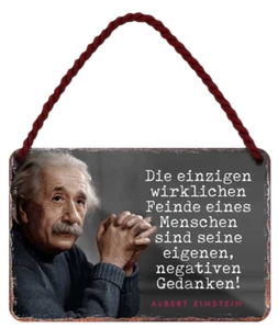 ''Die einzigen wirklichen Feinde (Einstein)'' 18x12cm Blechschild - Bild 1 von 4