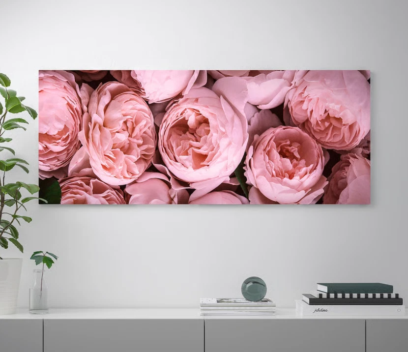 IKEA BJORKSTA Picture, Pink Peony Picture (no frame) 55 x 22" 140x56cm 40448220 - Image 1 of 2