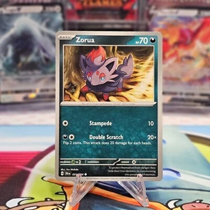Zorua - 031/064 - Shrouded Fable - Pokemon TCG - Non-Holo - NM - Picture 1 of 2