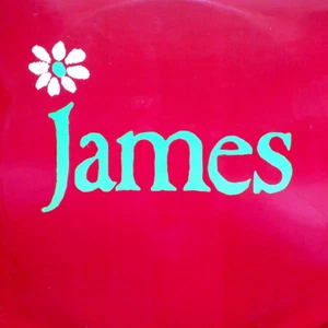 James / How Was It For You? / Vinyl / Indie Pop / Brit Pop / Fontana / Europe - Imagen 1 de 1