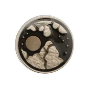 5pcs Moon Round Metal Shank Buttons Clothing Repair Sewing Handmade Decor 18mm - Picture 1 of 6