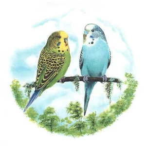 Grün Blau Wellensittiche Sittiche Überglasur Keramik Aufkleber - Bild 1 von 1