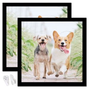 10x10 Picture Frame Set of 2, Black Square Photo Frames 10x10-2PACK - Picture 1 of 6