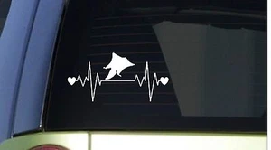 Flying Squirrel heartbeat lifeline *I212* 8" wide Sticker decal sugar glider - Picture 1 of 1