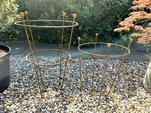 Rustic Metal Peony Support Rusty Plant Peonies Garden Ring Cage Herbaceous Frame - Picture 1 of 15