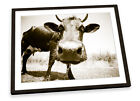 Cow Face Sepia Farm FRAMED ART PRINT Picture Poster Artwork