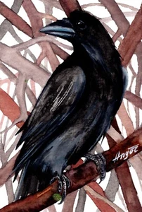 Original watercolor raven painting birds room decor crow 4х6" by Anne Gorywine - Picture 1 of 4