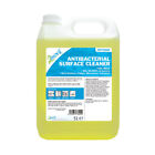 Antibacterial Surface Cleaner 2Work 5 Litre Bottle 2W76000