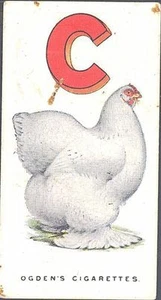 Ogdens - Poultry Alphabet - 3 - C for the Cochin - Picture 1 of 1