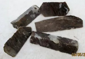 5 geschliffene gemischte Kabine grob mit versteinertem Holz und Pilzjaspis - Bild 1 von 10