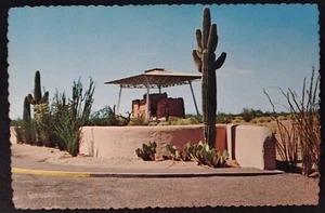 Arizona Postkarte Mitte 1900 Original RAR Coolidge Casa Grande Kaktus  - Bild 1 von 5