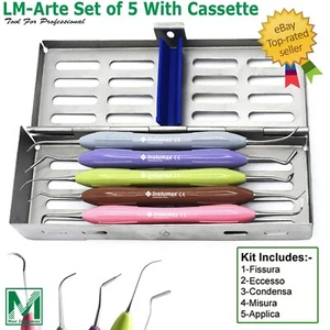 Dental Composite Filling Instruments LM Set Silicone Handle Colorful 5+Cassette - Picture 1 of 9