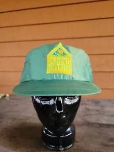 Green Silky Lemon Blitzer 90s Vintage Flat Trucker Snapback Hat Cap - Bild 1 von 11