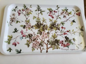 VTG Villeroy & Boch Botanica Serving Tray Crataegus Oxyacantha 18.5x11.5 EUC - Picture 1 of 7