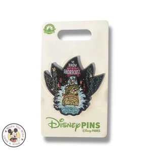 Disney Parks Tiana’s Bayou Adventure Pin 2024 We Know A Shortcut Pin Ride Drop - Picture 1 of 2