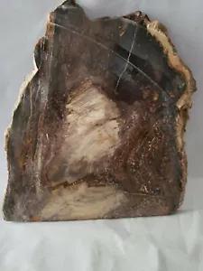 Corte prehistórico de losa de madera petrificada - Imagen 1 de 7
