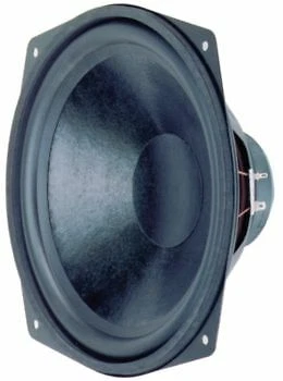 Woofer da 25 cm (10 ") 8 Ohm 110 W - Immagine 1 di 1