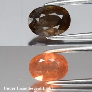 💎 0.85ct 6.5x4.8mm Oval Natural Color Change Garnet - Unheated, Africa Gemstone - Picture 1 of 6