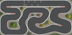 Pista de carreras Clean para Kyosho Mini-Z 500cm x 300cm - Imagen 1 de 3