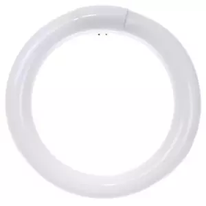 SUNLITE FC8T9/DL 22 watt T9 4-Pin (G10q) Base 6500k Daylight Fluorescent Bulb - Picture 1 of 4