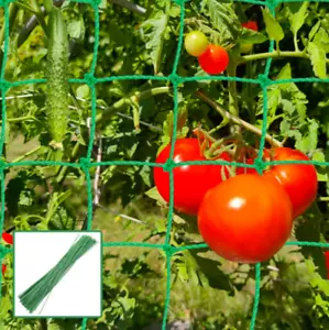 2 x 5m garden Pea and bean Netting Climbing Plant Support Mesh - Picture 1 of 3