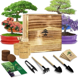Bonsai Tree Kit for Beginners, DIY Growing Kits with Starter Set, Complete Garde - Picture 1 of 6