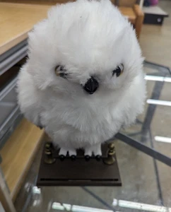 Wizarding World Harry Potter Hedwig Plush Figurine - Picture 1 of 1