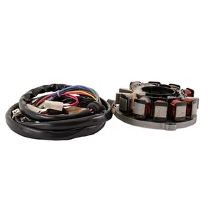 Polaris Stator SL 900 1050 SL1050 SLTX SL900 SLXH 96 97 98 4010403 SBT - Picture 1 of 1